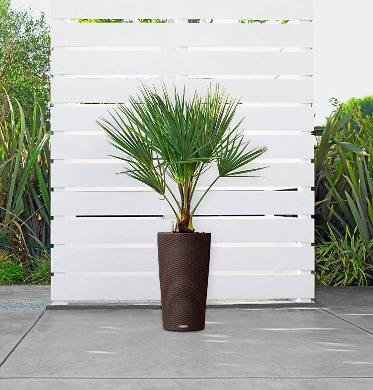 Кашпо Лечуза Цилиндро Коттадж (коричневый)_1