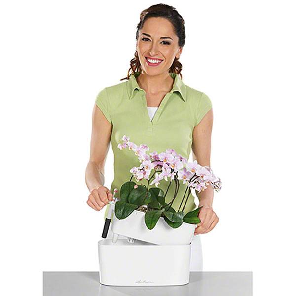 Кашпо Лечуза Дельта 10 (белый)_1