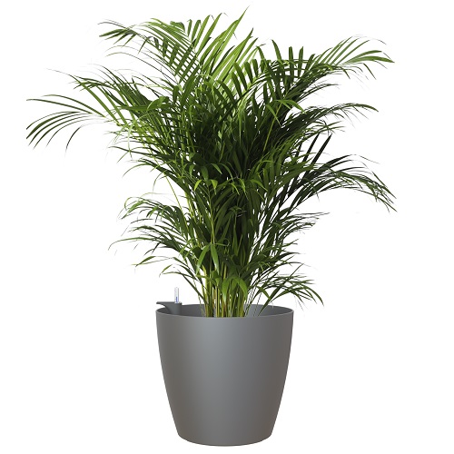 Кашпо Артевази Сан Ремо антрацит матовое комплект Все-в-одном с колесами_