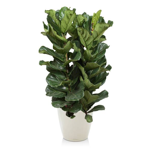 Комплект 6_5