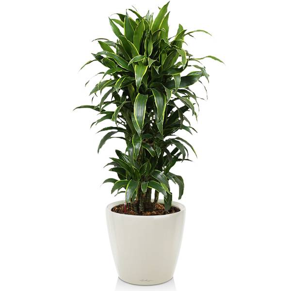 Комплект 6_1