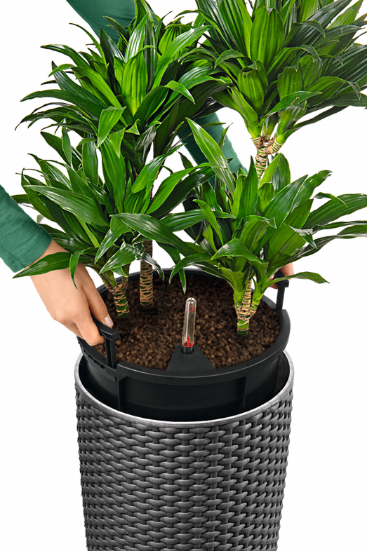 Кашпо Лечуза Цилиндро Коттадж (гранит)_3