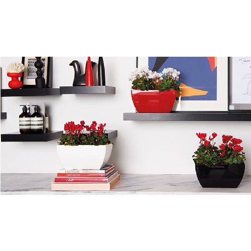 Кашпо Артевази Сиена красное низкое_