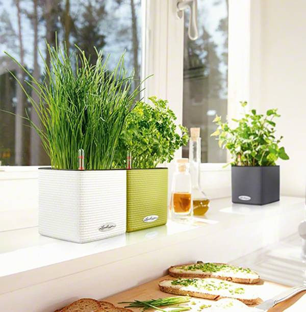 Кашпо Лечуза Куб Колор 14 (белый)_1