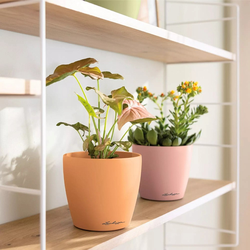 Кашпо Лечуза Классико Колор ДЕКО (зеленый)_1