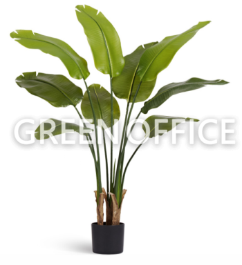 Стрелиция New Style с UV-защитой (Sensitive Botanic) - Фото 1