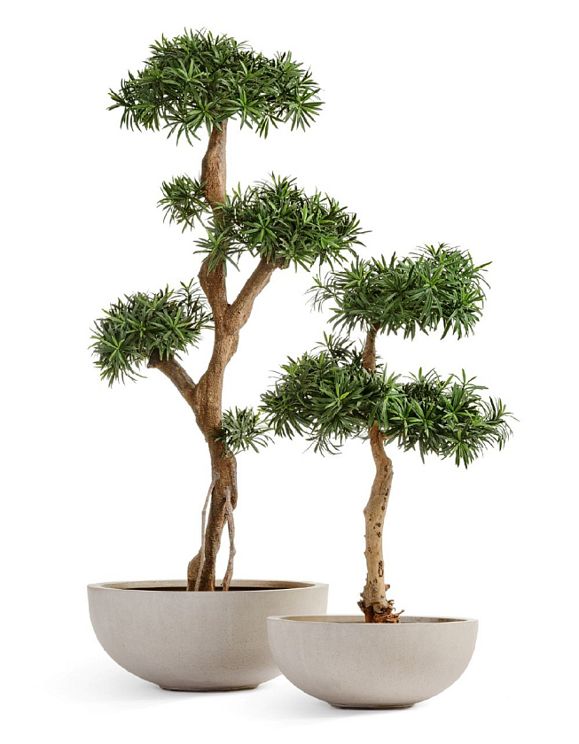 Кашпо Эффектори Бетон низкая плоская чаша белый песок_4