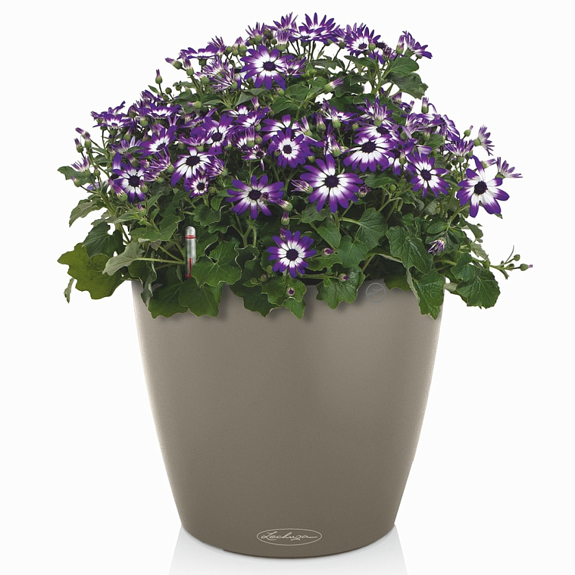 Кашпо Лечуза Классико Колор (светло-бежевое)_4