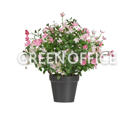 Альпийское разнотравье с нежно-розовыми и белыми цветами - Фото 5