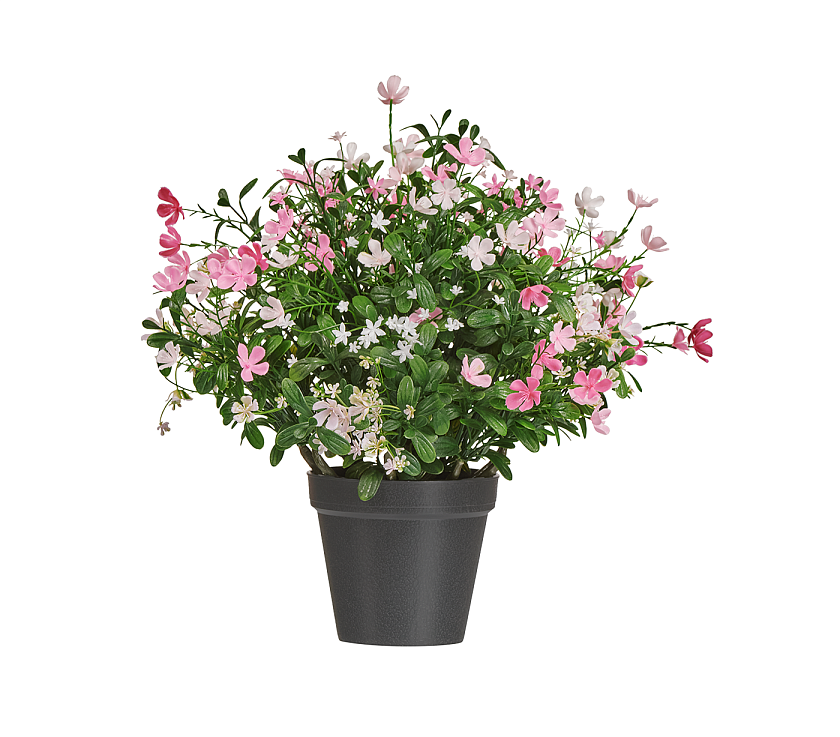 Альпийское разнотравье с нежно-розовыми и белыми цветами_3