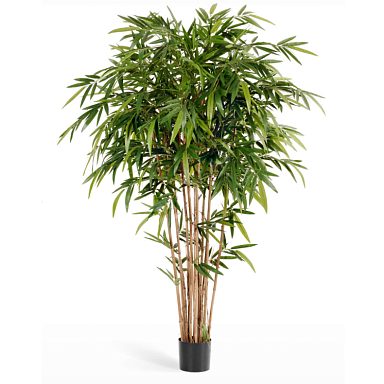 Бамбук Новый натуральный