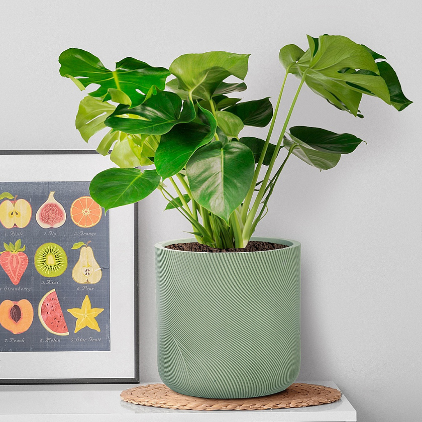 Кашпо Флоу Ваза круглое зеленое_