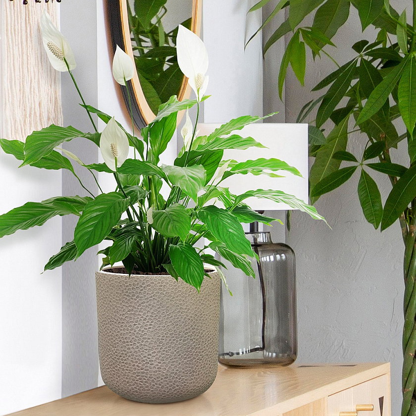 Кашпо Урбан Ваза серо-коричневое_