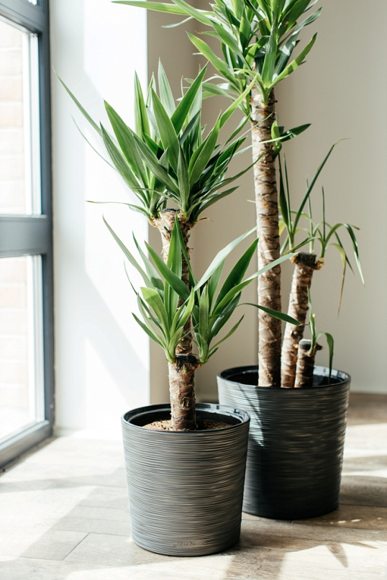 Кашпо Цилиндр ребристый (серый)_1