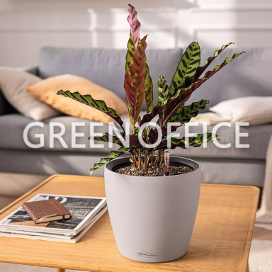 Кашпо Lechuza Classico Color LS (бежевый) - Фото 3