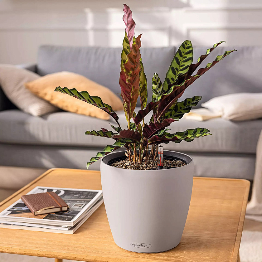 Кашпо Лечуза Классико Колор ЛС (бежевый)_1