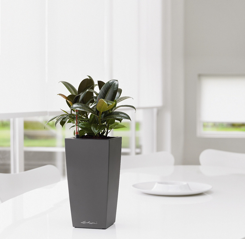 Кашпо Лечуза Мини куби и Макси куби (антрацит)_