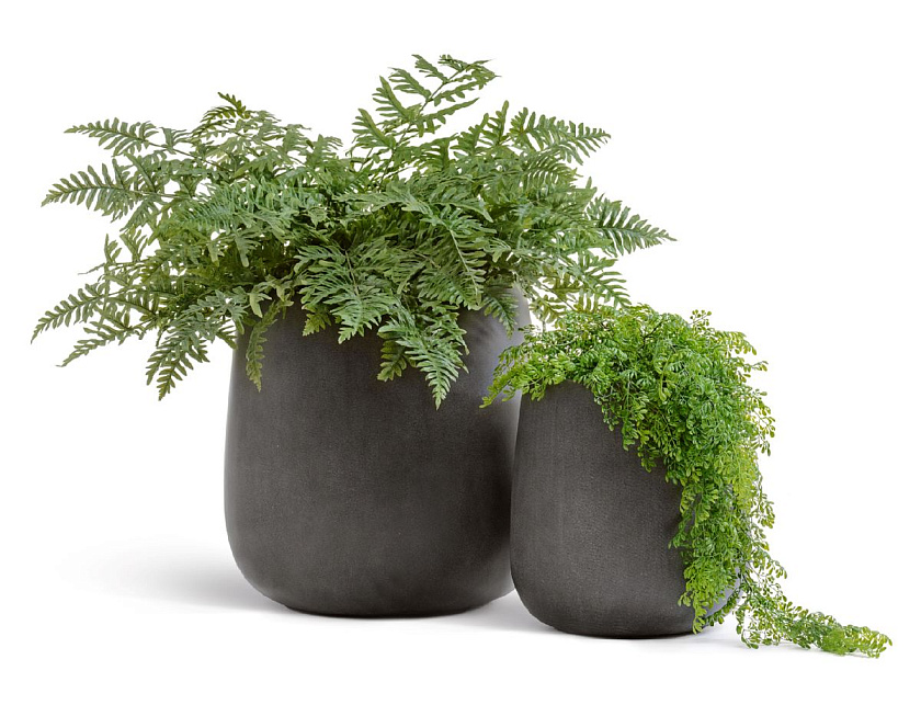 Кашпо Эффектори Бетон Дизайн -Чаша Тёмно-серый бетон_4