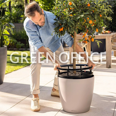 Кашпо Lechuza Classico Color LS (мускат) - Фото 5