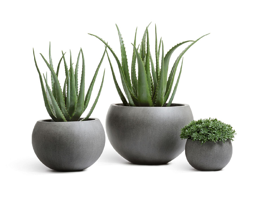 Кашпо Эффектори Бетон полусфера тёмно-серый бетон_5