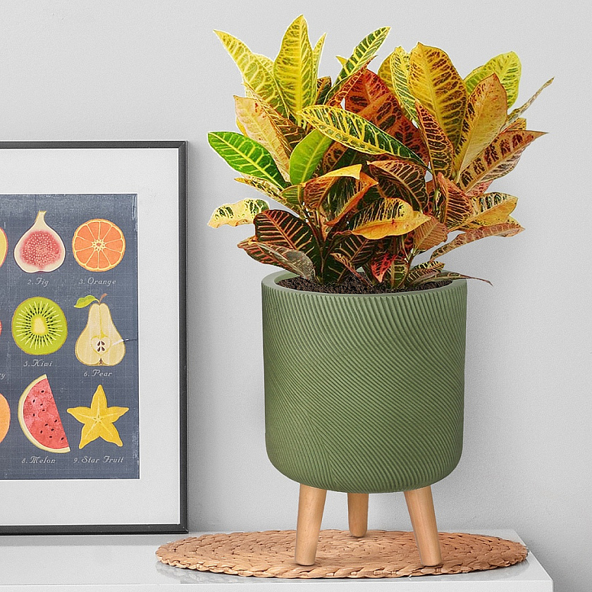 Кашпо Флоу Ваза с подставкой зеленое_1