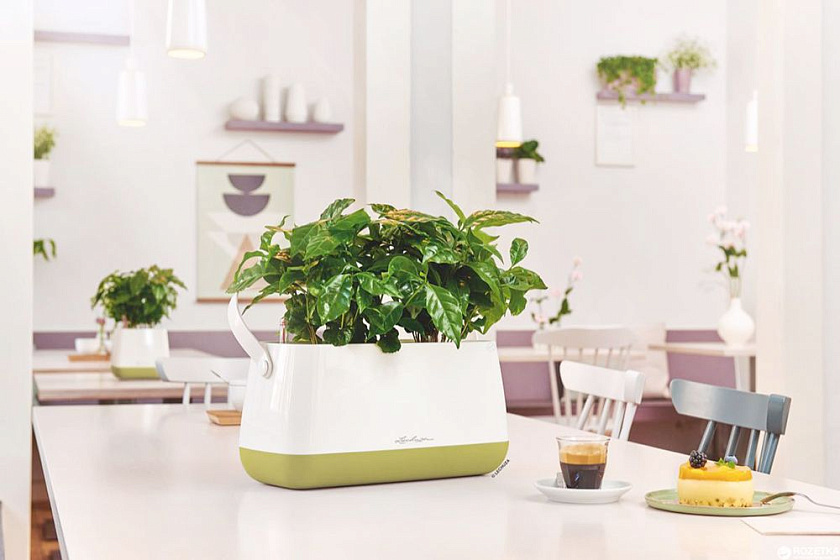 Корзинка для растений Лечуза Юла (белый/фисташковый)_