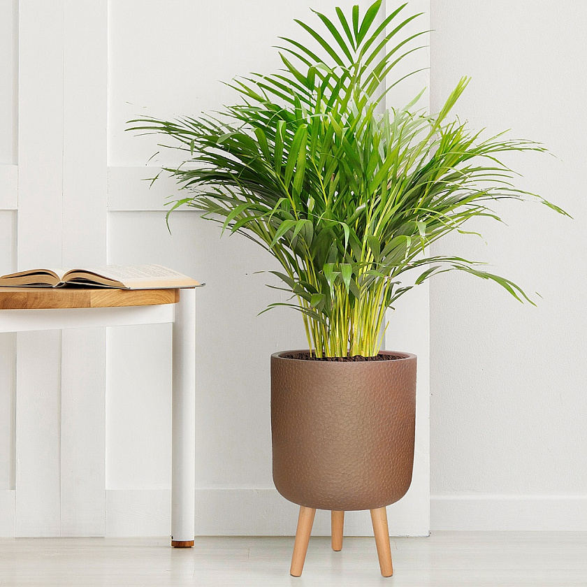 Кашпо Урбан Круглое с подставкой кофе_