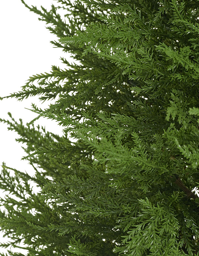 Кипарис Тауэр Элегант уличный_3