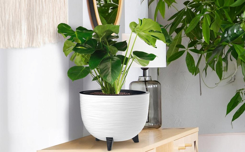 Кашпо Чаша на ножках ребристое (белый)_5