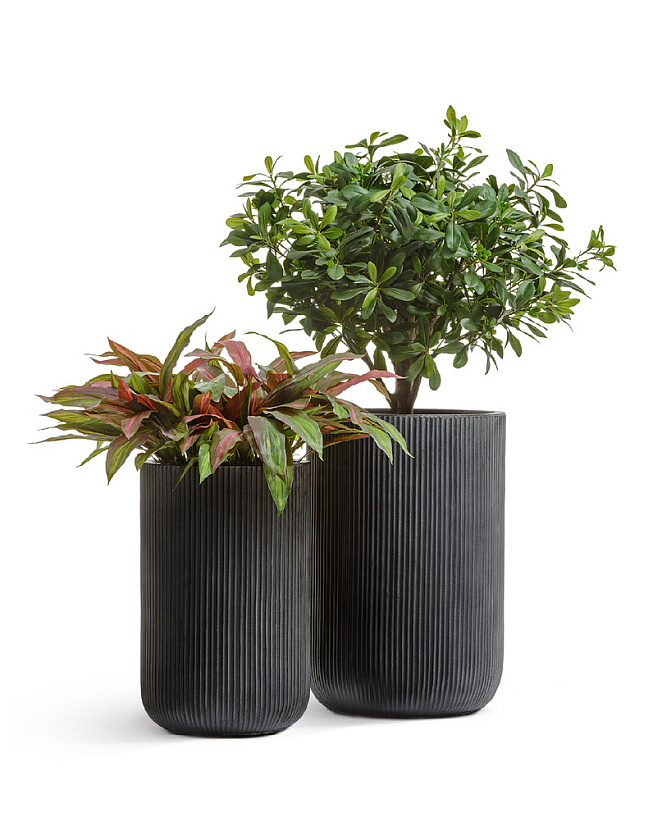 Кашпо Эрго Джет высокий цилиндр антрацит_5