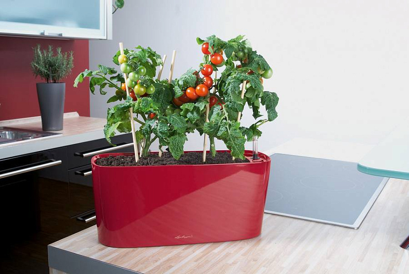 Кашпо Лечуза Дельта 20 (красный)_1