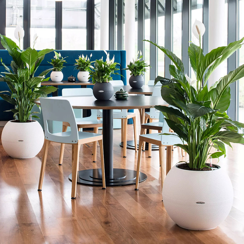 Кашпо Лечуза Пуро Колор 50 (белый)_5