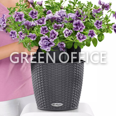 Кашпо Lechuza Nido Cottage большой (графит) - Фото 5