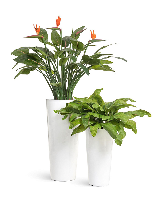 Кашпо Эффектори Глосс высокий конус белый глянцевый лак_2