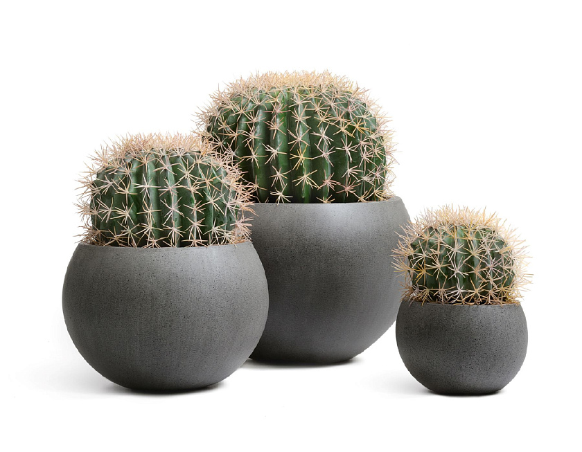 Кашпо Эффектори Бетон полусфера тёмно-серый бетон_6