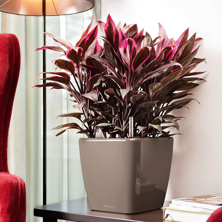 Кашпо Лечуза Квадро ЛС (серо-коричневый)_