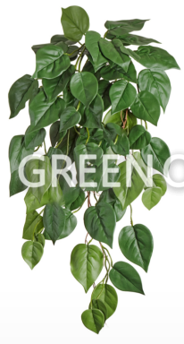 Филодендрон куст ампельный (серия FR - огнезащита) - Фото 1