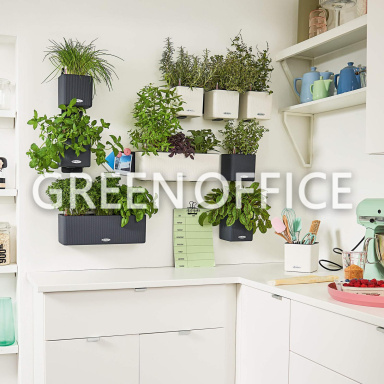 Green Wall Home Kit Color (серый) - Фото 2