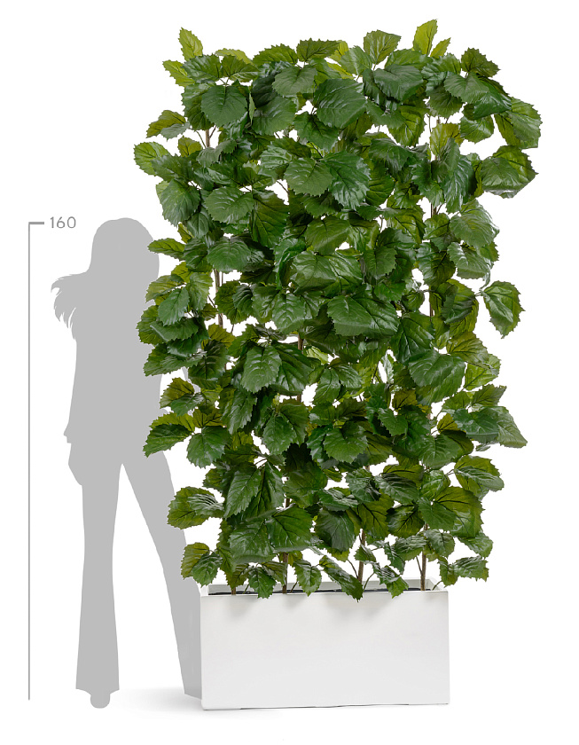 Тетрастигма ветвь де Люкс интерьерная (с крепежным элементом)_