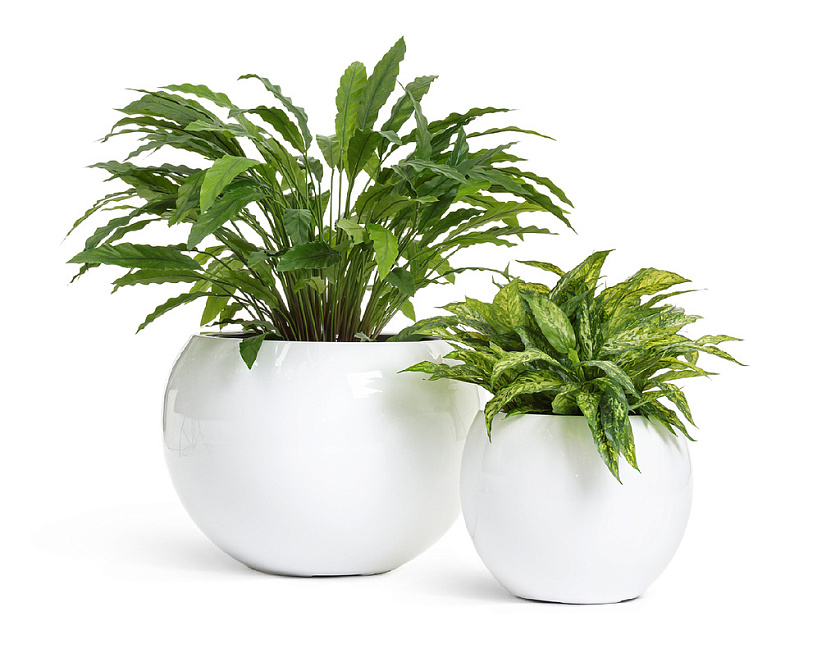 Кашпо Эффектори Глосс полусфера белый глянцевый лак_3