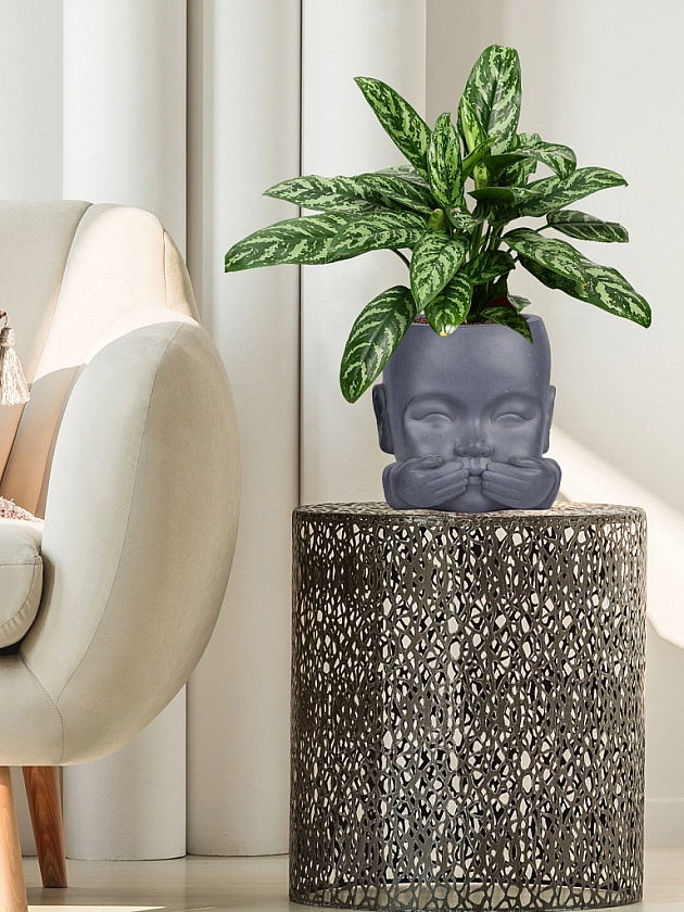 Кашпо Голова малыша-монаха (не говорю)_