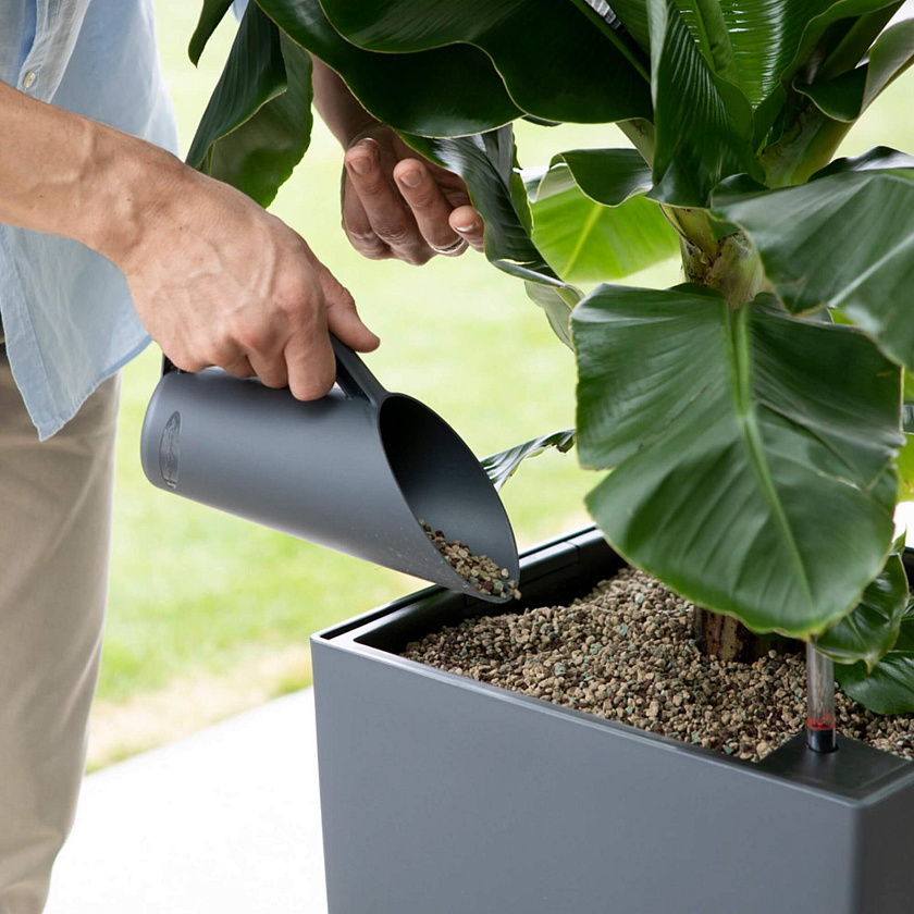 Субстрат Лечуза пон_1