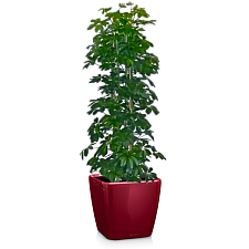 Комплект 3_3
