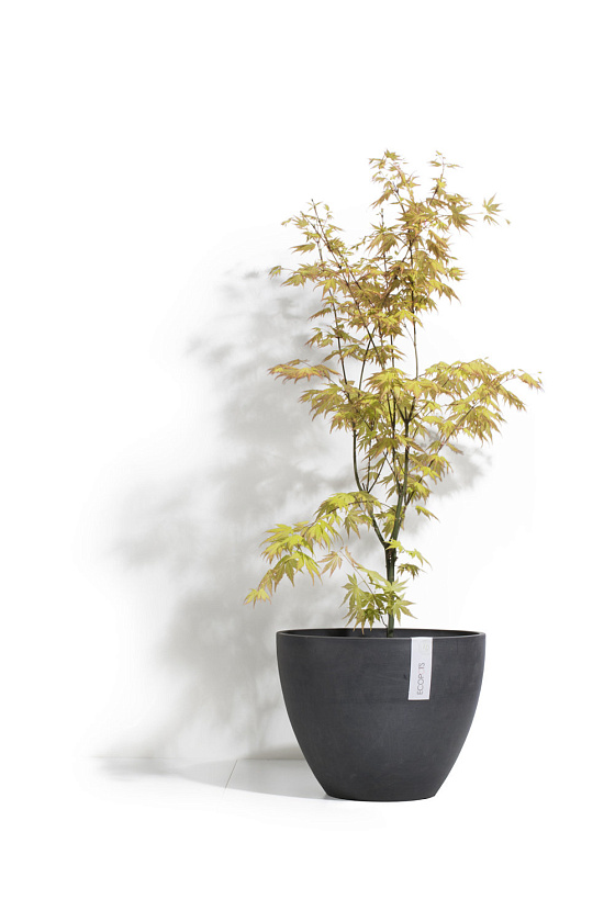 Кашпо Экопотс Антверп антрацит_