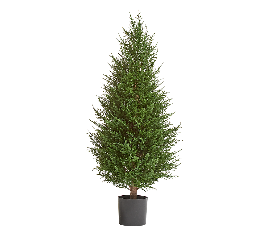 Кипарис Тауэр Элегант уличный_8