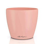Classico Color DECO Classico Color DECO