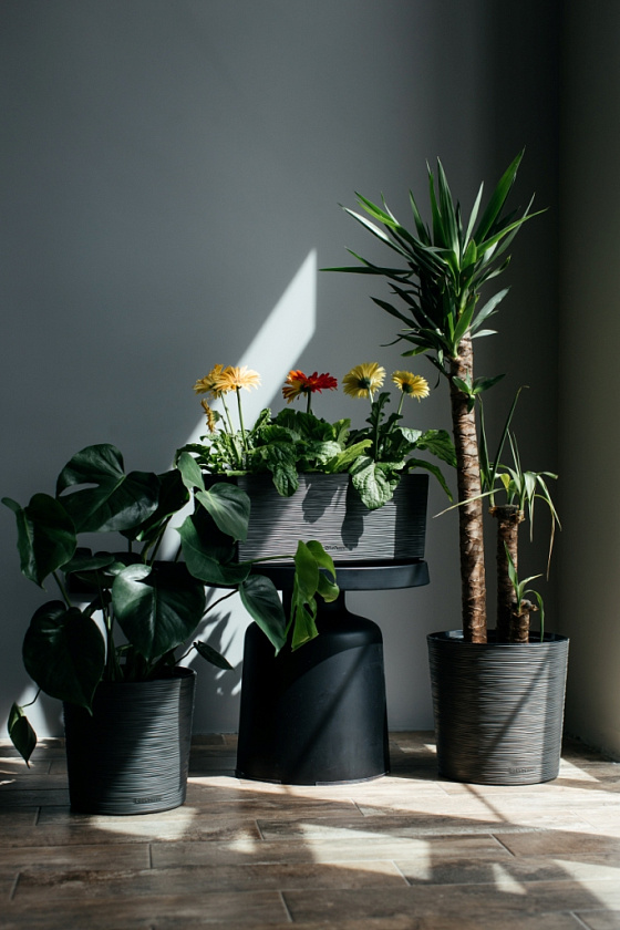 Кашпо Балкони ребристый (антрацит)_3