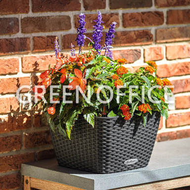 Кашпо Lechuza Bacino Cottage (светло-серый) - Фото 4