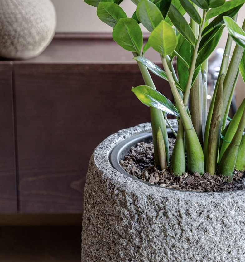 Кашпо Эффектори Терра Чаша Мидл серый беж_11