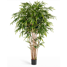 Бамбук Новый натуральный
